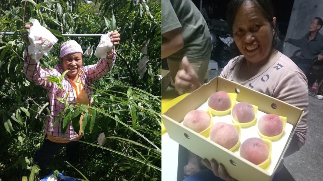 江秋玲的孫女為了替阿嬤宣傳水蜜桃，成立粉絲團提供民眾訂購。圖／翻攝自臉書「水蜜桃阿嬤粉絲團」