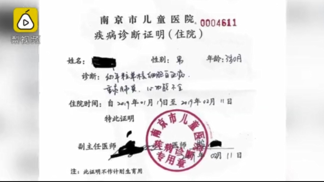 圖/翻攝自梨視頻