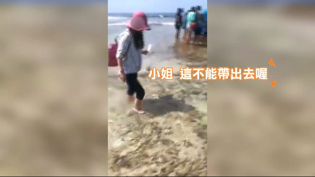 圖/翻攝自小琉球聯盟