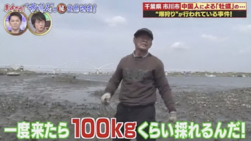 日本節目「不可思議的世界」製作專題追蹤遊客瘋挖生蠔情形。圖/翻攝自「不可思議的世界」節目畫面