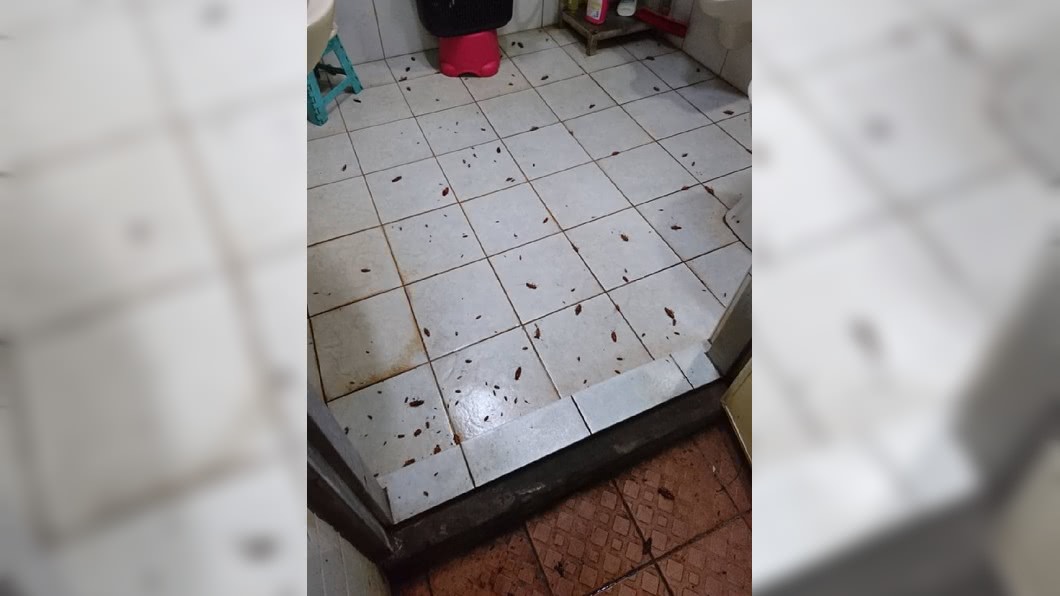 一名女網友分享自己用水煙殺蟑螂的成效。(圖/翻攝自爆廢公社)