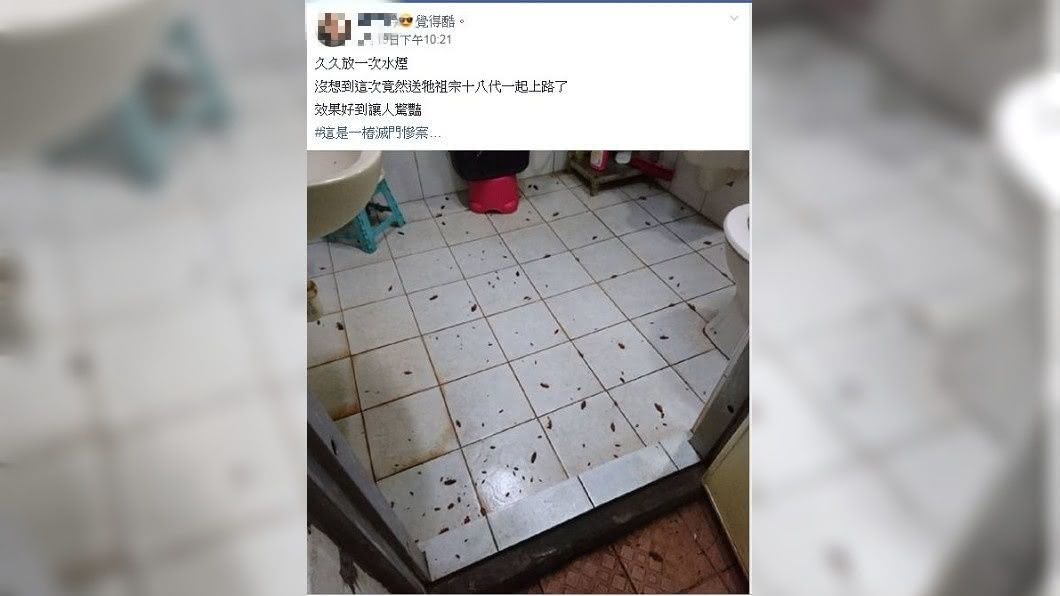 女網友笑稱送牠祖宗十八代一起上路。(圖/翻攝自爆廢公社)
