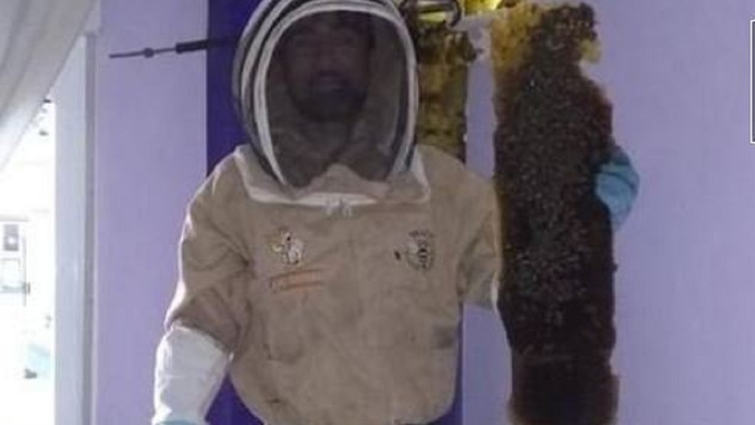 格雷羅手中拿著從牆壁挖出的巨大蜂窩。圖/翻攝自推特