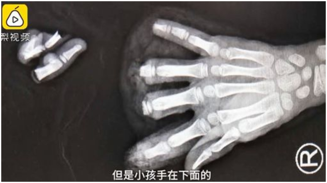 圖/翻攝梨視頻
