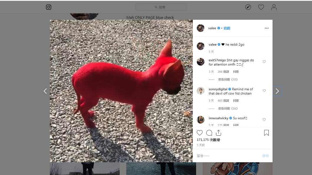 紅毛生物引來動保團體高度關注 圖/翻攝自Valee Taylor個人IG