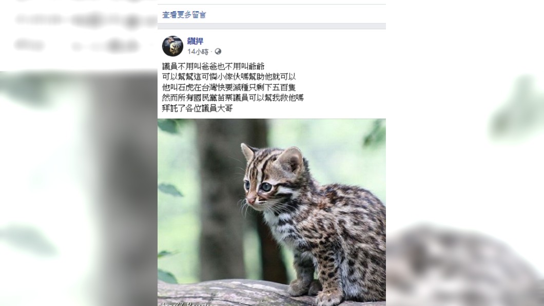 圖 /翻攝館長臉書