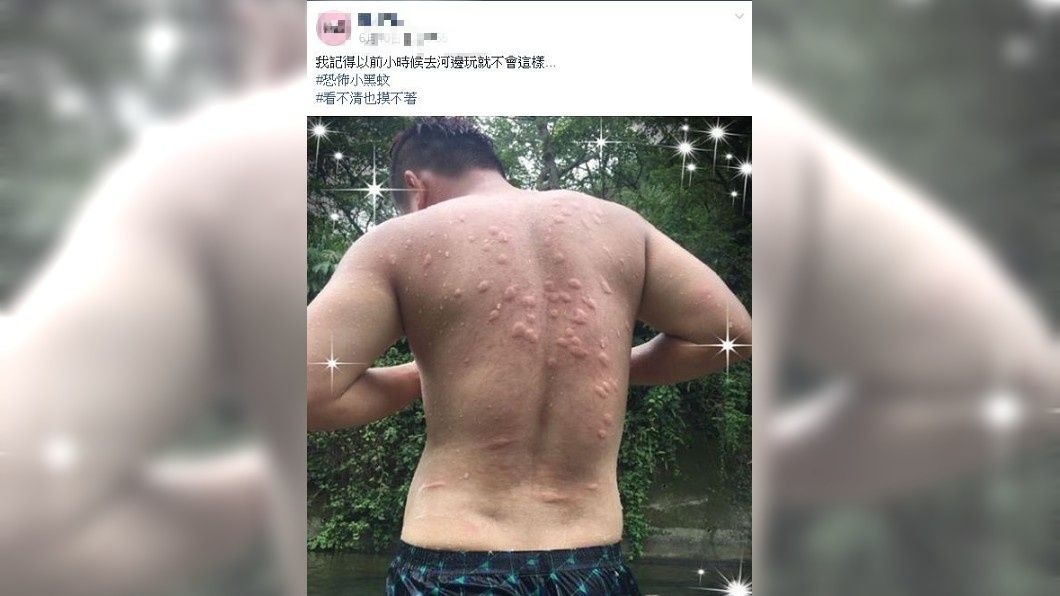 有網友分享自己的背部遭到小黑蚊狂叮,讓人看了都不禁覺得癢了。(圖/翻攝自爆廢公社)