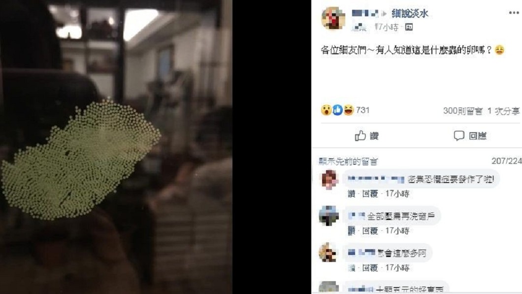 圖/翻攝自臉書「細說淡水」