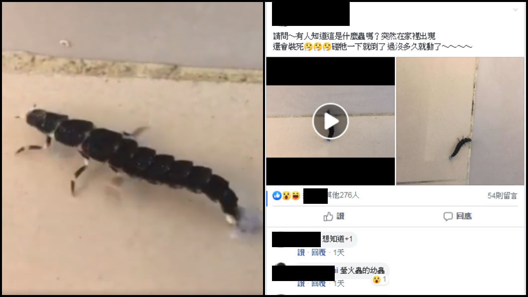 圖/翻攝臉書爆廢公社
