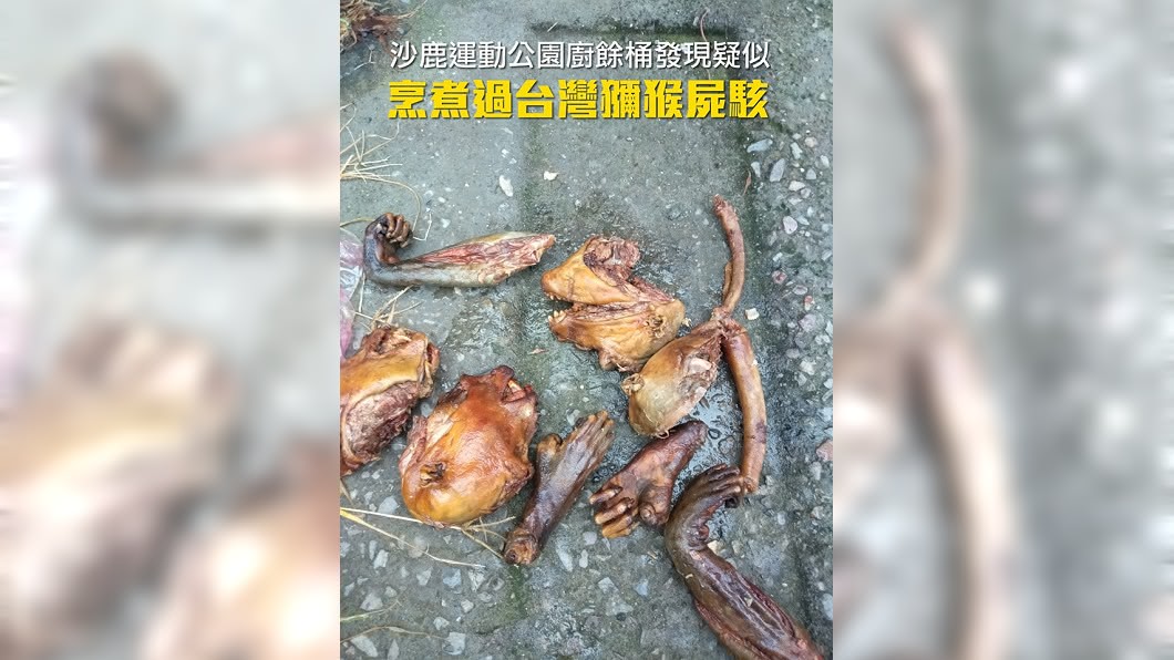 圖/台中市公民會館提供