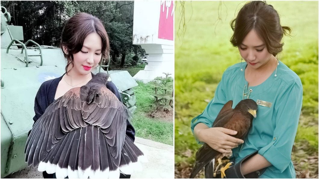 老鷹只要看到李婉菁,就會向她撒嬌。圖/李婉菁提供