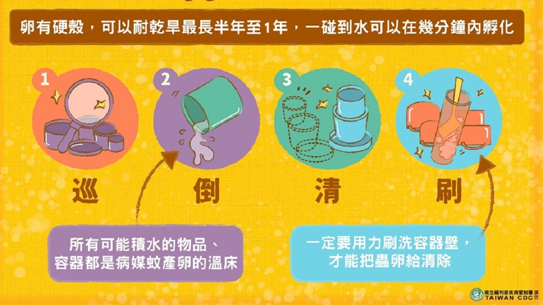 如何消除病媒蚊。圖/翻攝自疾病管制署-1922防疫達人臉書