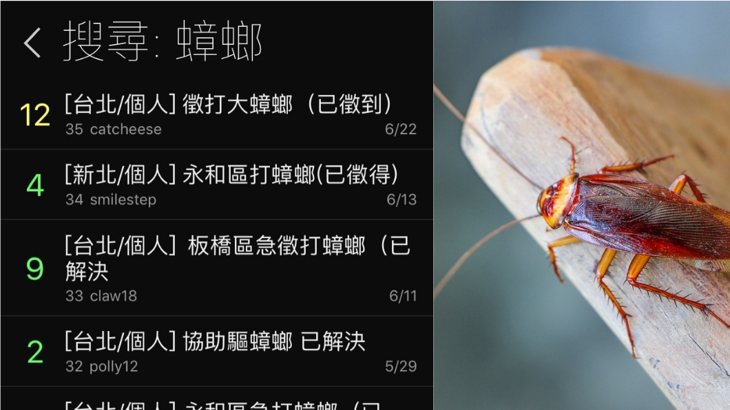 示意圖/TVBS