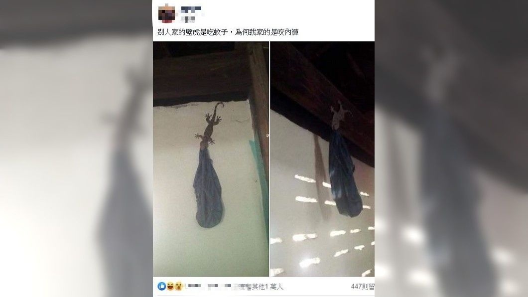 這個景象引發網友們的熱烈討論。(圖/翻攝自爆廢公社)