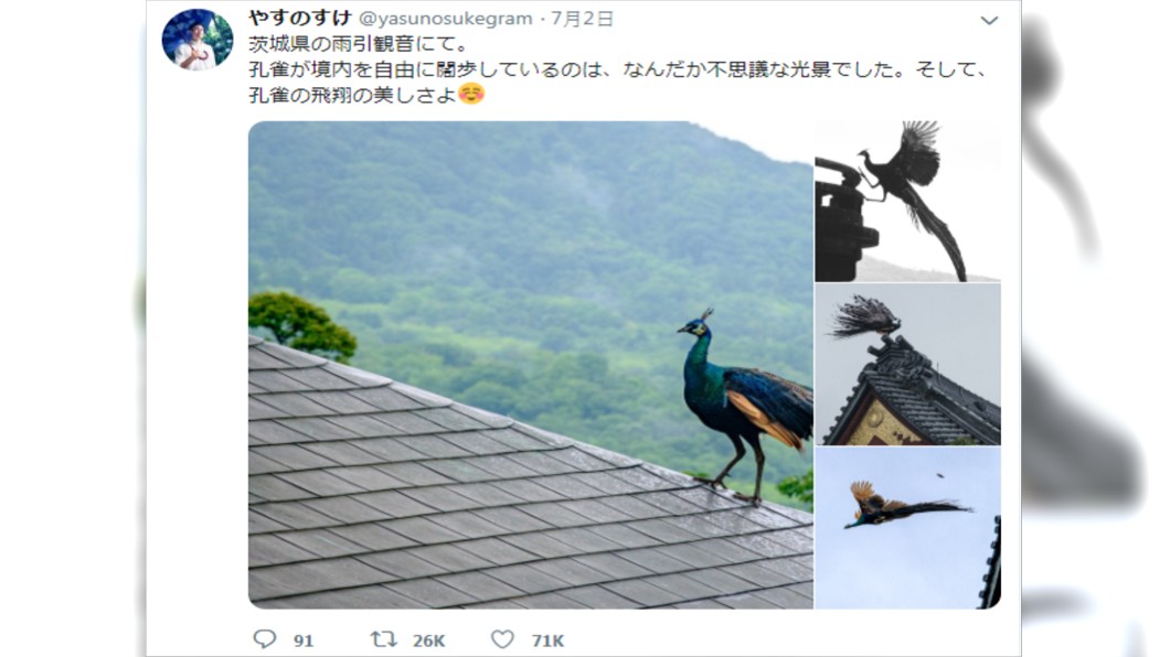 圖/翻攝推特@yasunosukegram