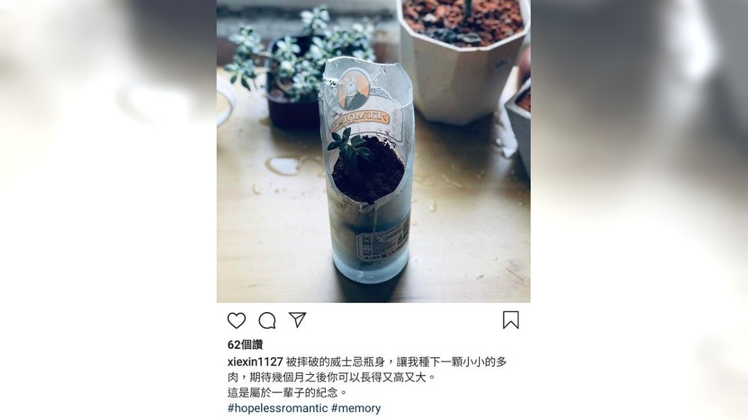 圖/翻攝謝忻IG