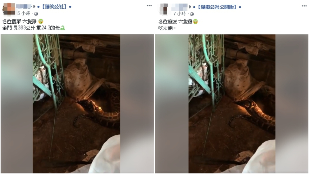 影片在臉書「爆廢公社公開版」與「爆笑公社」由管理員發布。圖/翻攝臉書