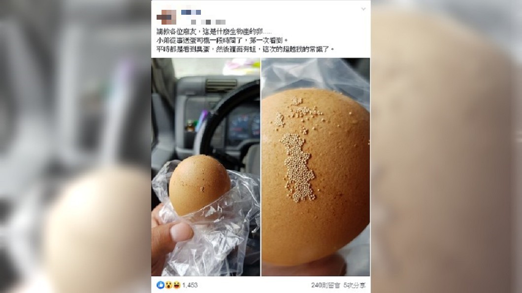 圖/翻攝自 爆廢公社公開版
