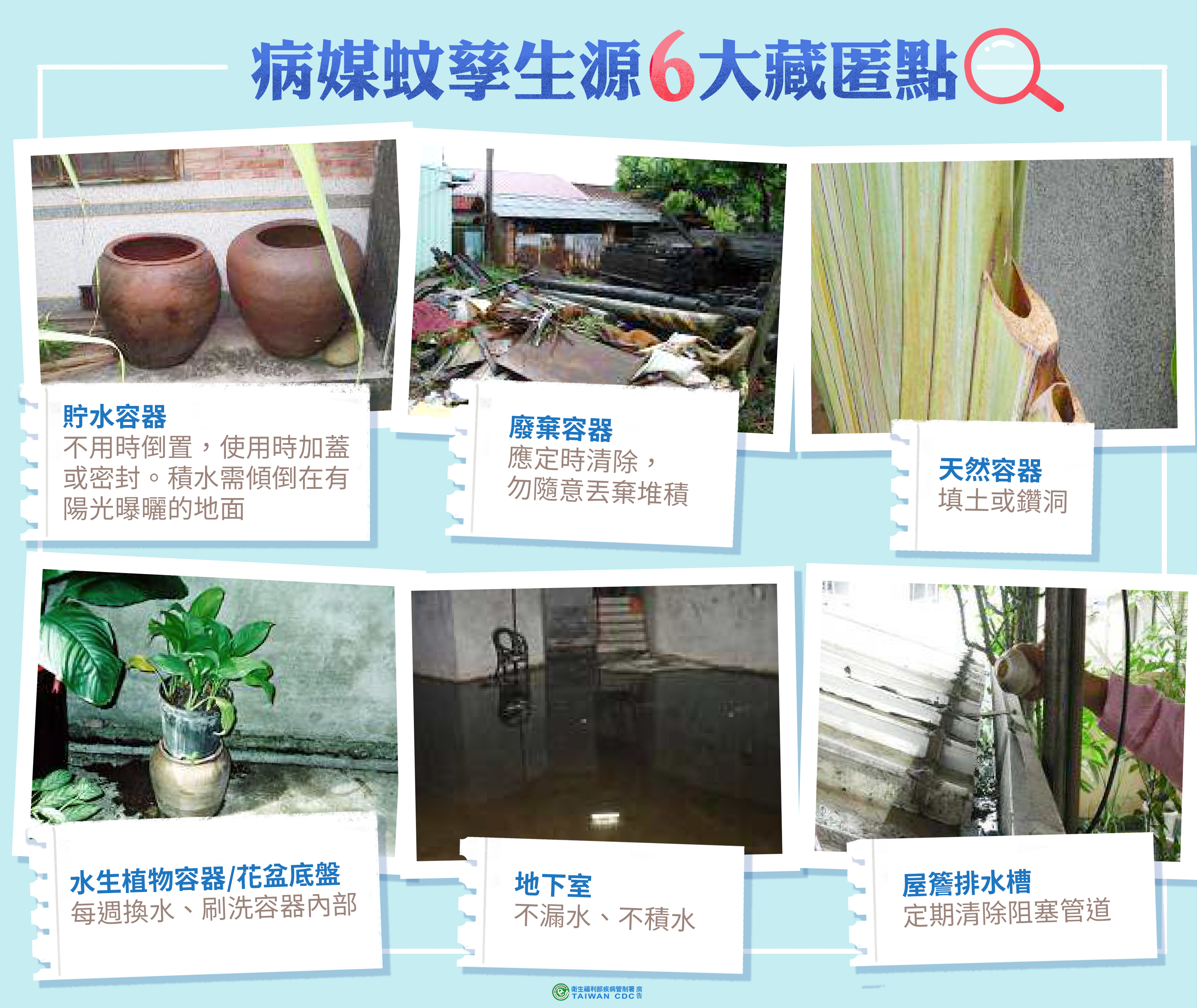 圖/截自疾管署網站