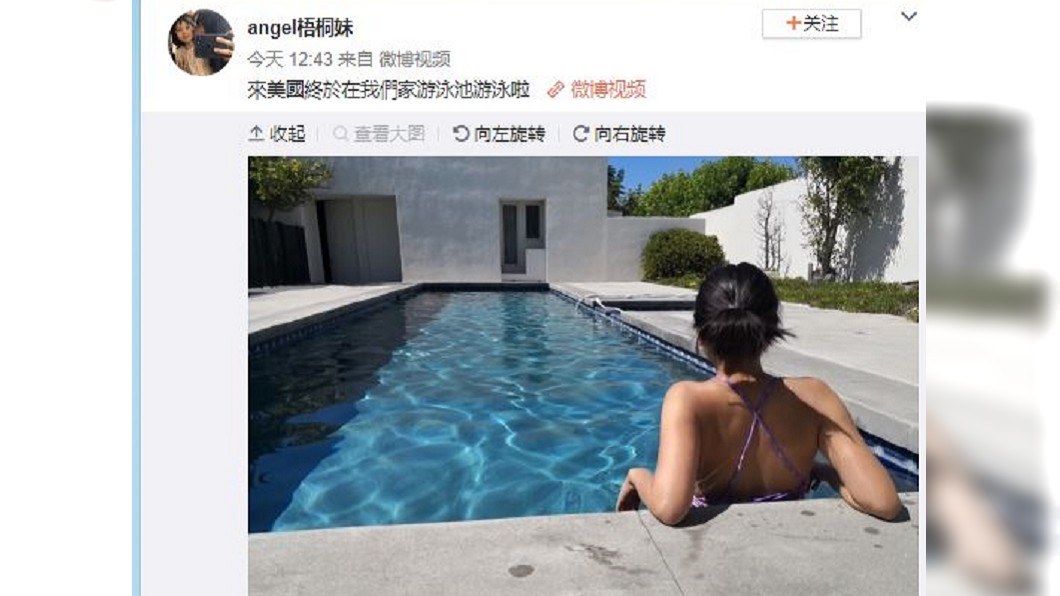 圖/翻攝自梧桐妹微博