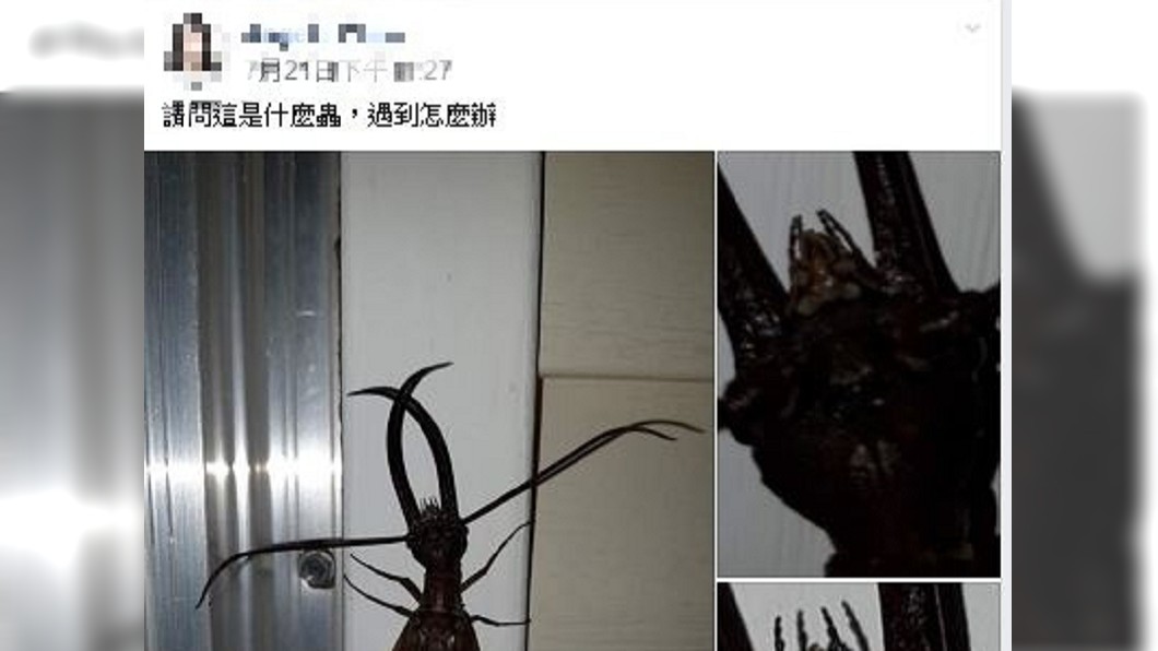 圖/翻攝自爆廢公社二館