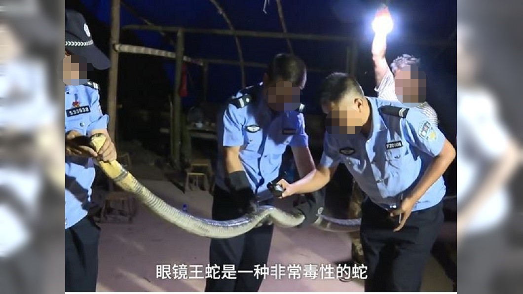 圖/翻攝自黎視頻影片