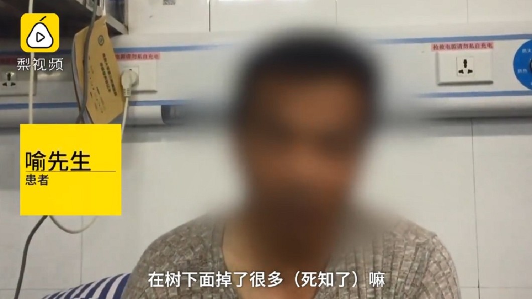 圖/翻攝自梨視頻