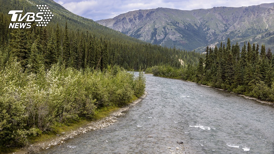 Teklanika River in Denali National Park。圖／Shutterstock