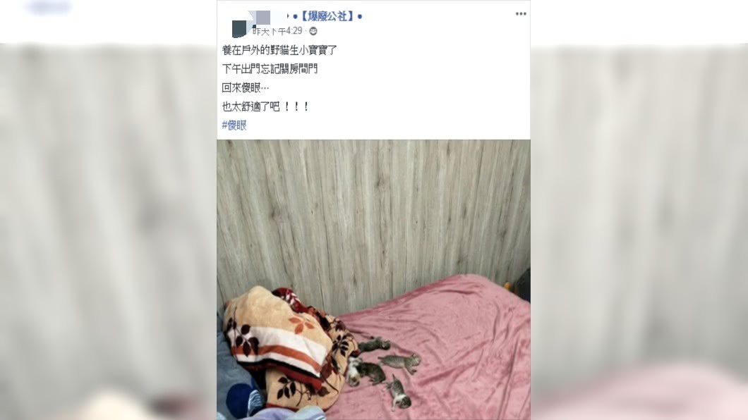 圖/翻攝自爆廢公社