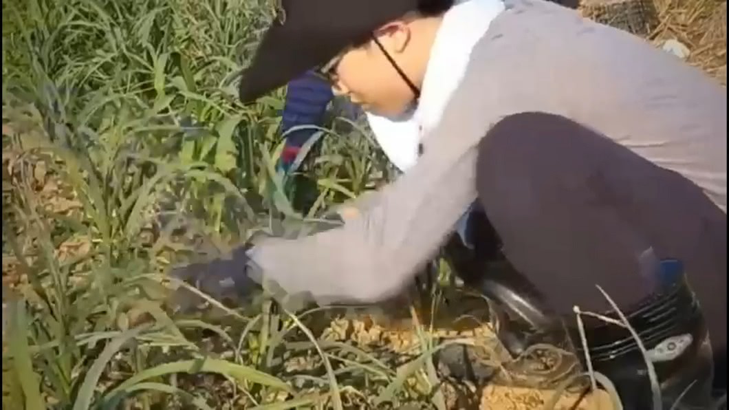 許凱文親自施肥、種菜,被媽媽金瑞瑤笑說根本就是農夫了。圖/中華華夏關懷基金會授權使用