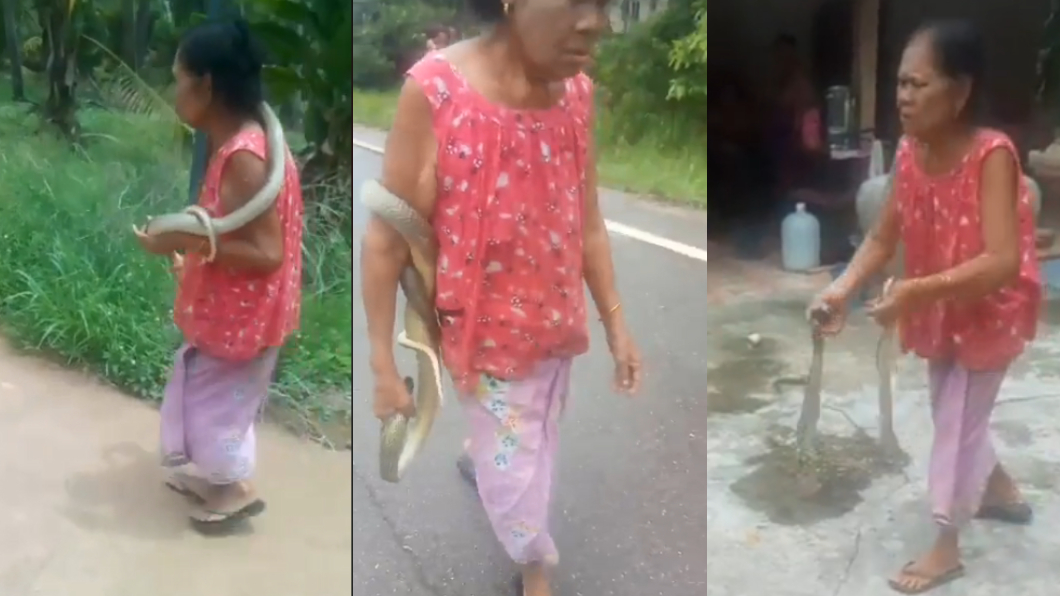 妮蛇醫回家後就把毒蛇丟在地上。圖/翻攝自วรวุฒิ เชิงไกรยัง臉書