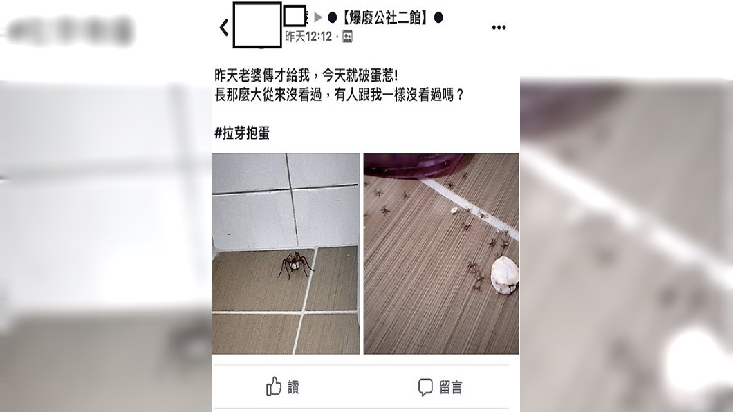 圖/翻攝自爆廢公社二館