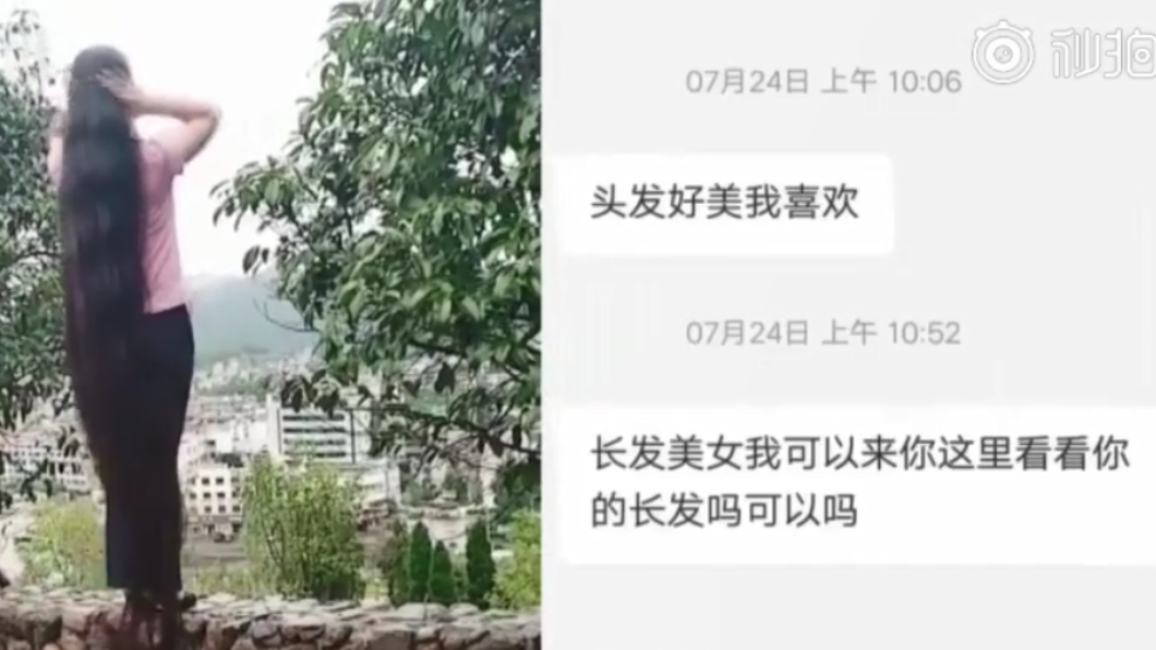 圖/翻攝自澎湃新聞