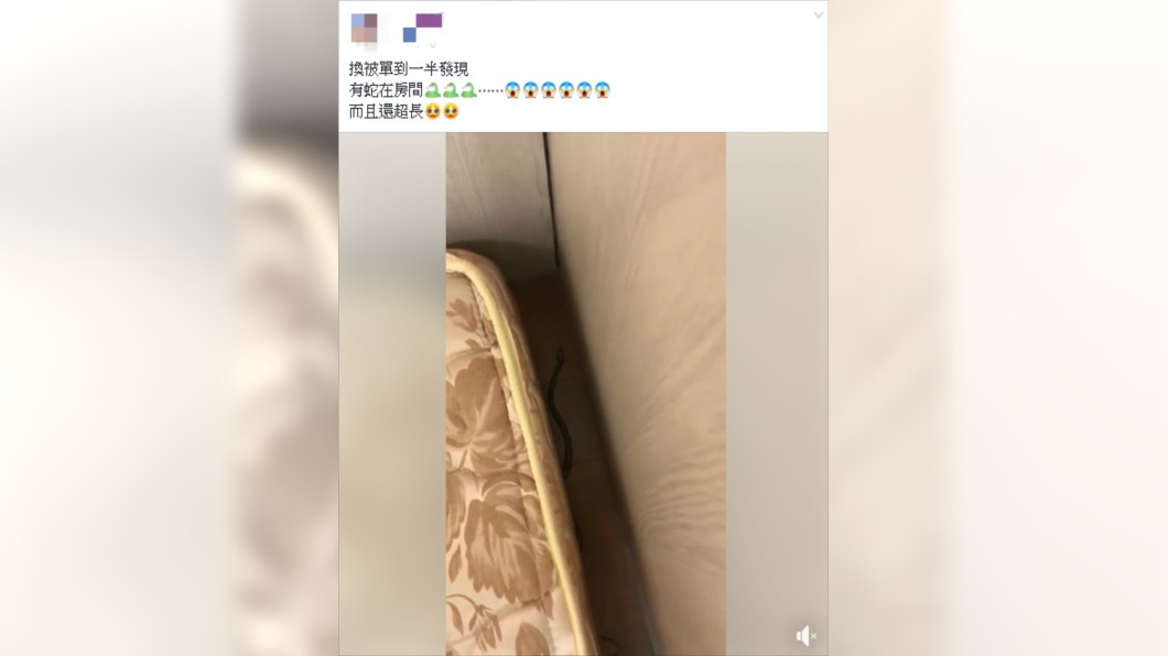 原PO在家中發現蛇。圖/翻攝自爆怨公社臉書