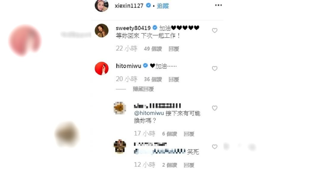 王瞳留言要謝忻加油遭網友狠酸。(圖/翻攝自謝忻IG)