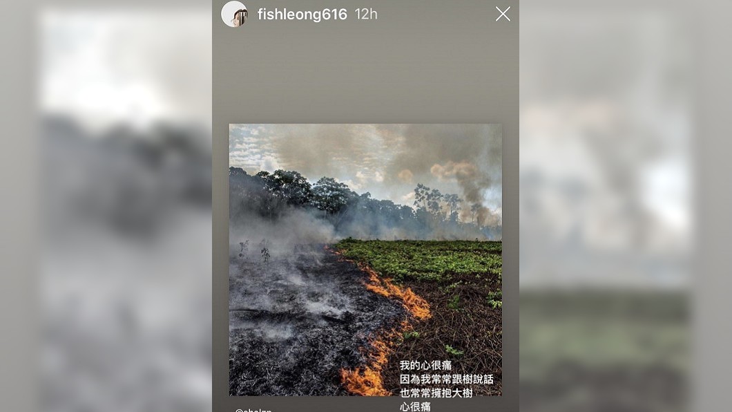 圖／翻攝自梁靜茹IG 亞馬遜森林野火燒不停　李奧納多呼籲大眾「別吃牛」