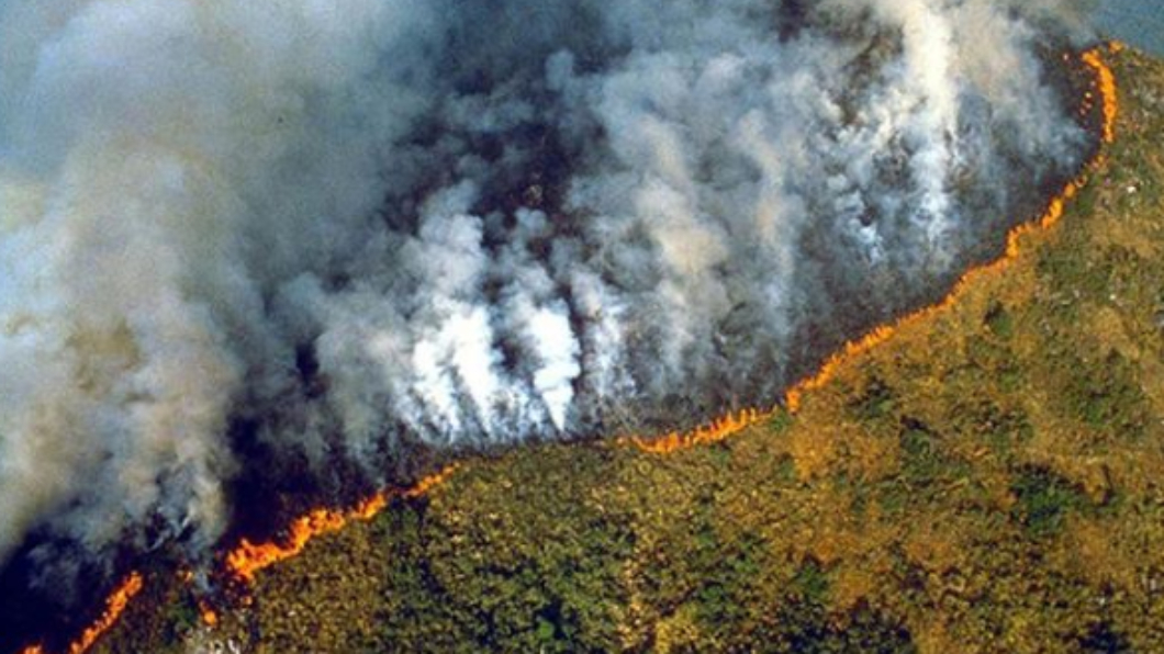 圖／翻攝自傑登史密斯IG 亞馬遜森林野火燒不停　李奧納多呼籲大眾「別吃牛」