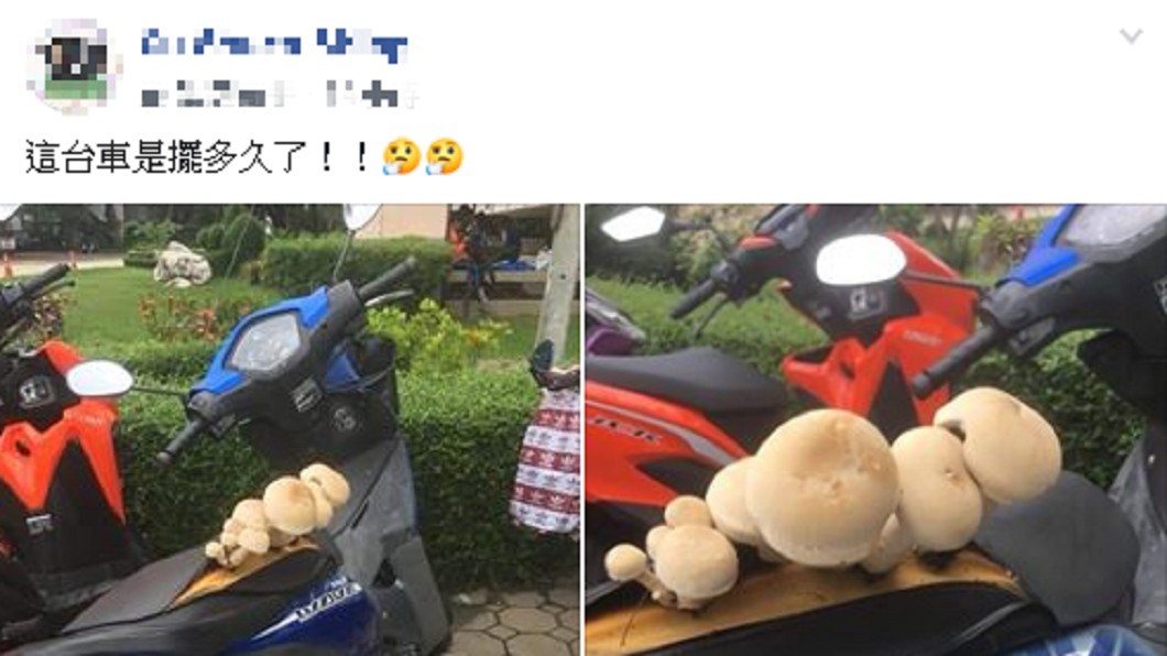 一台藍色機車停放在路邊。圖/翻攝自爆廢公社臉書