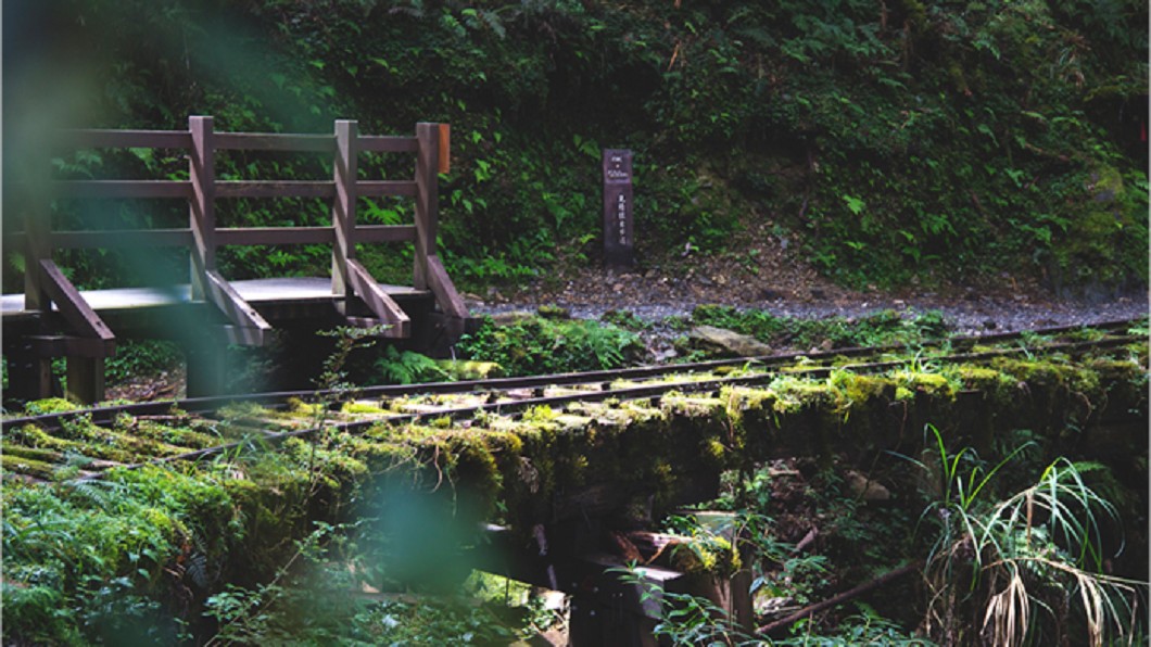 中秋連假玩法推薦-宜蘭太平山見晴古道。(圖/Tripbaa趣吧!亞洲自由行專家)