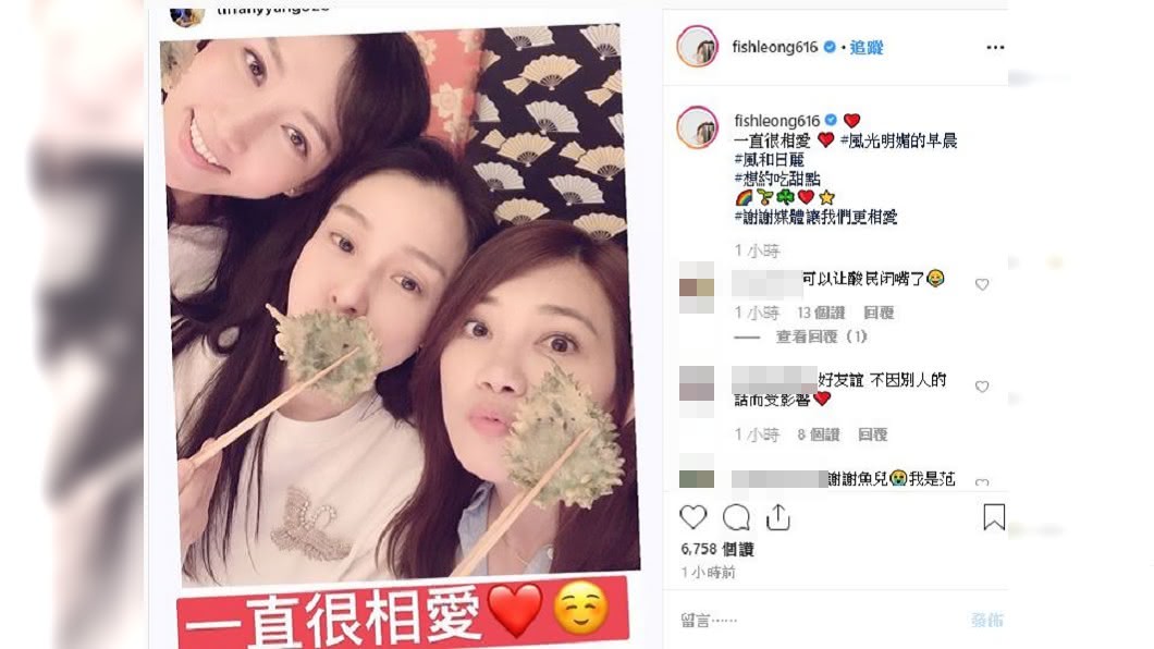 梁靜茹發文力挺范瑋琪。圖/翻攝自fishleong616 IG