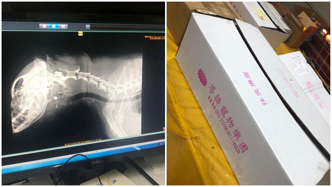主人將愛犬送去火化,照X光發現子彈卡在牠頭部。(圖/翻攝自臉書)