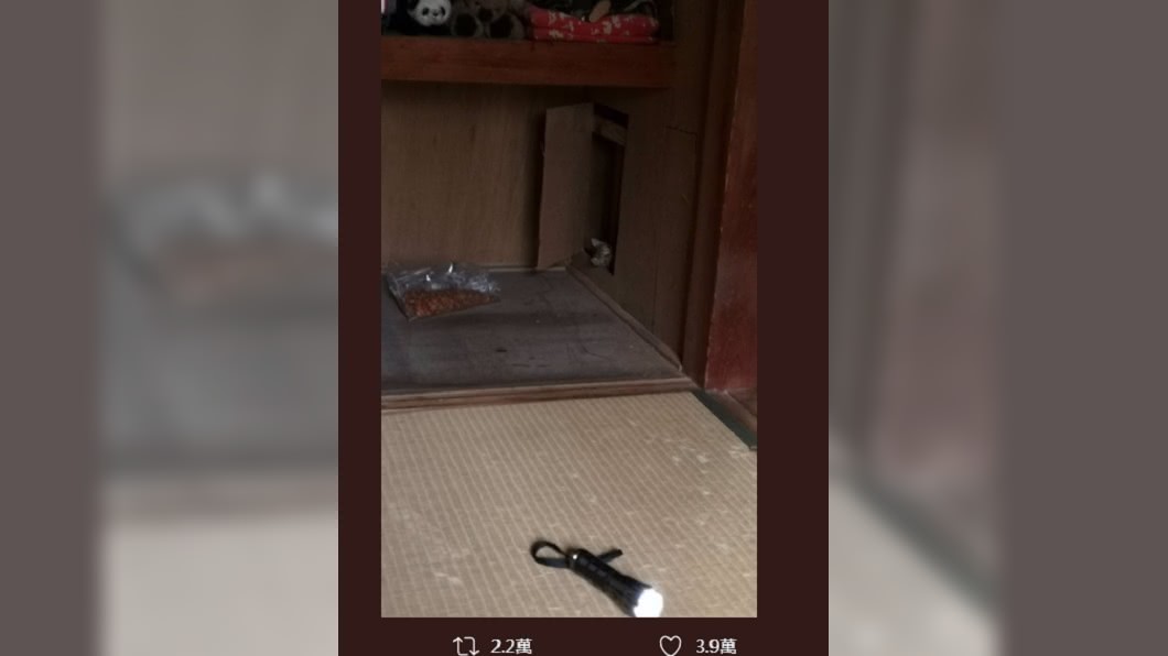 圖/翻攝自推特