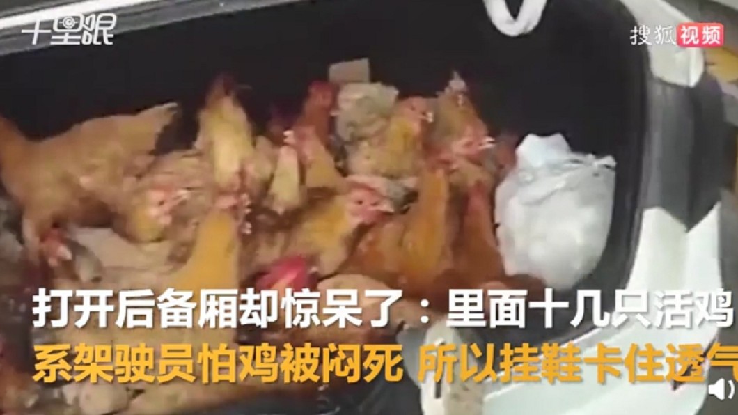 圖/翻攝自搜狐视频微博