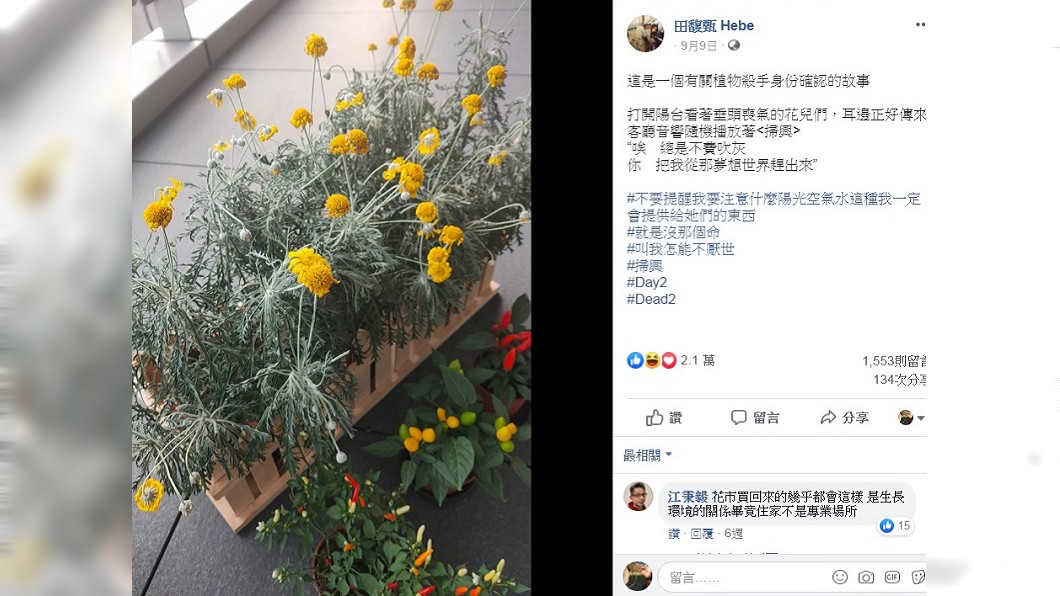 圖/翻攝田馥甄 Hebe臉書