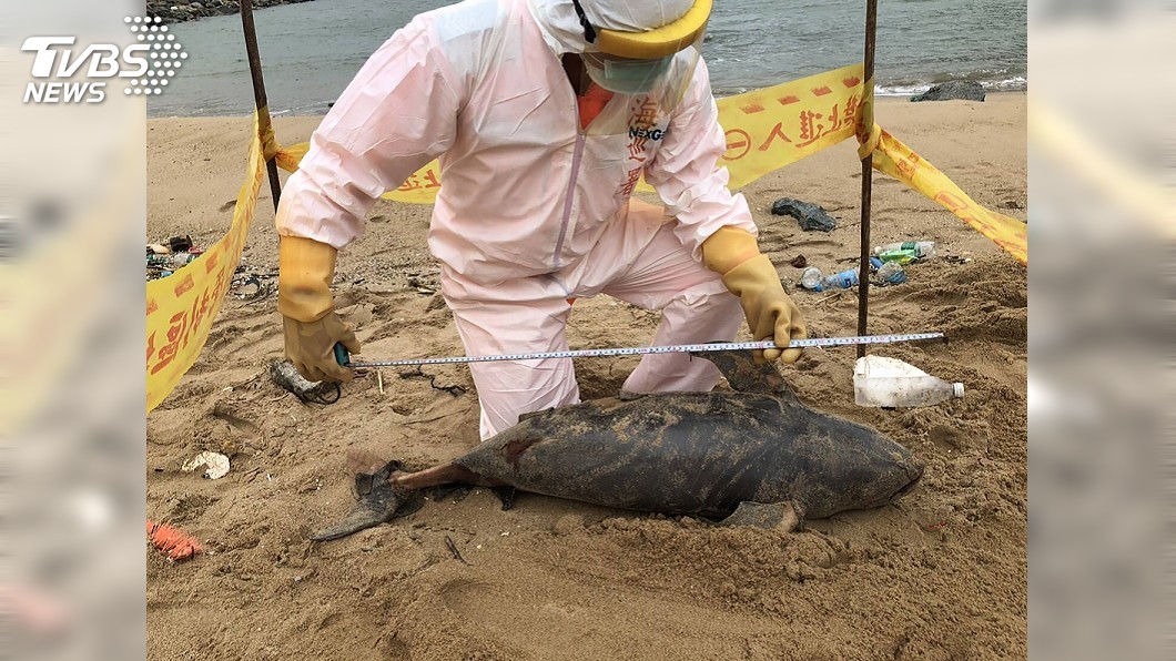 圖／馬祖岸巡隊提供