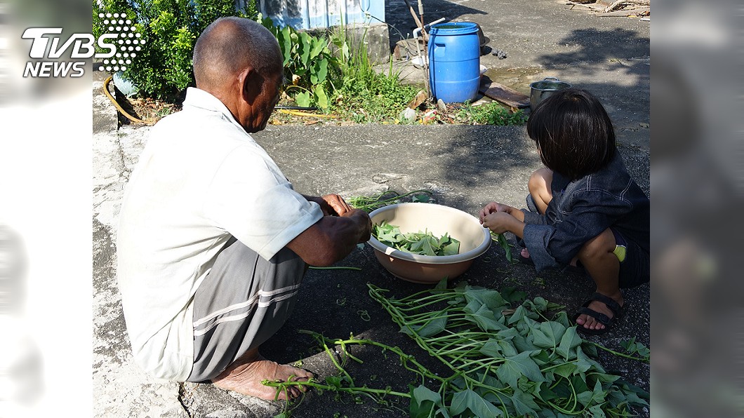 阿公和小姊妹經常以自種的地瓜葉當主食，有時候會連續吃好幾餐。圖／中信慈善基金會提供