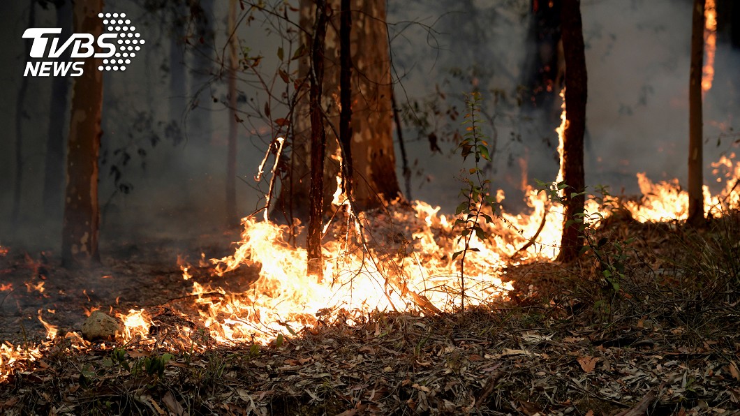 澳洲叢林大火肆虐數月，造成嚴重災情。(圖／達志影像路透社)