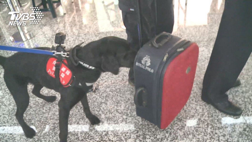 Taiwan seeks dog handlers for airport and seaport security (TVBS News) Taiwan seeks dog handlers for airport and seaport security