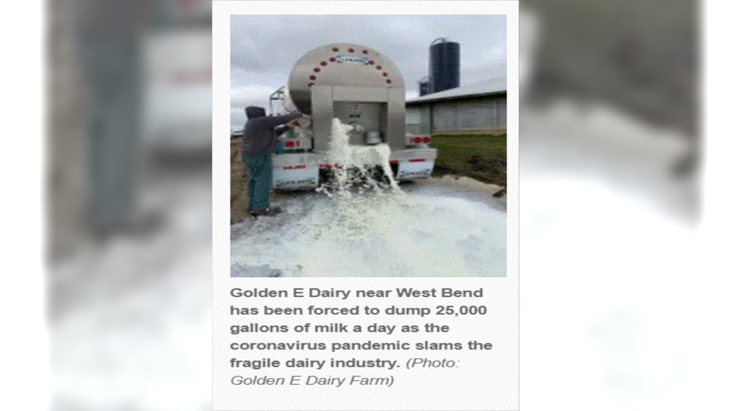 肺炎疫情導致美國牛奶過剩，酪農業者被迫每天傾倒9萬多公升的新鮮牛奶。(圖／翻攝自Milwaukee Journal Sentinel官網)