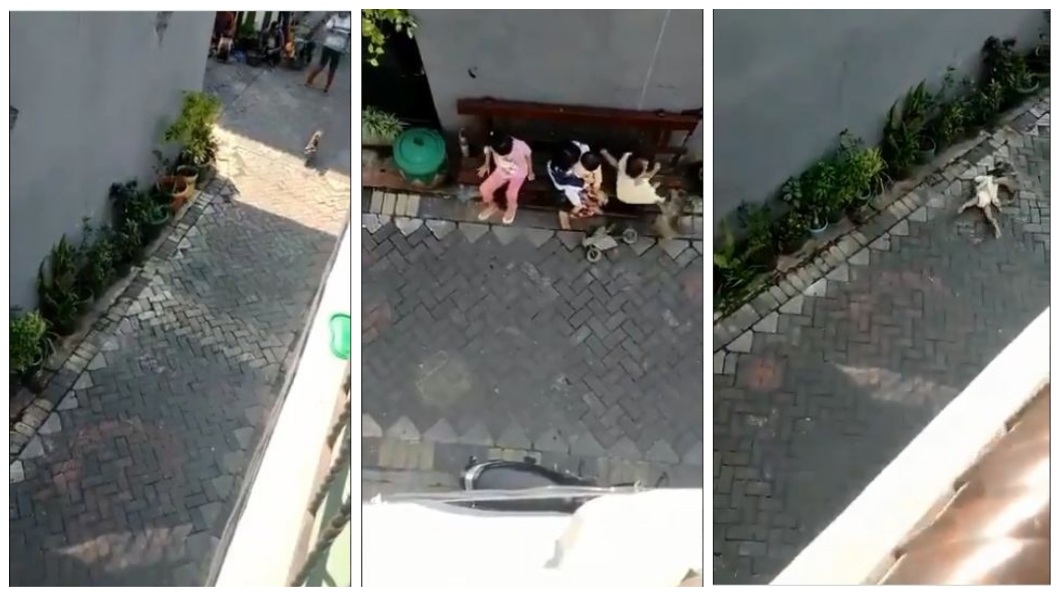 印尼日前發生猴子當街強擄小孩的恐怖事件。(圖／翻攝自推特合成) 彷彿化身魔鬼…猴子騎車衝人群　大街強擄拖行幼童